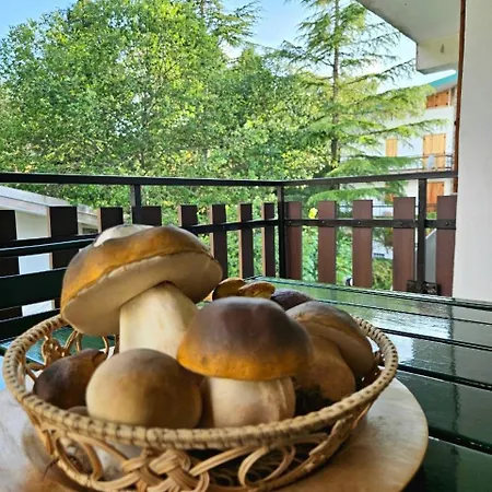 Le Muse - Relax In Sila A 3 Minuti Da Camigliatello Apartmán Camigliatello Silano